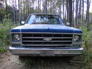 Old blue truck in a forest setting.